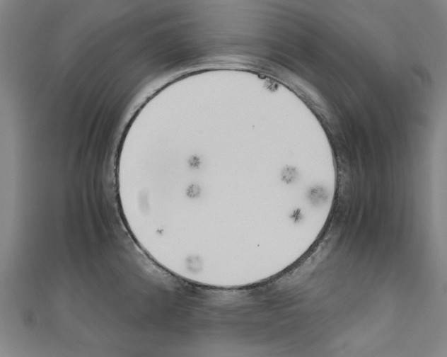 X0000110321192200907021155