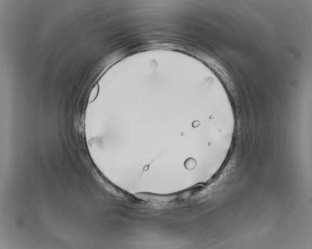 X0000110321193200907021155