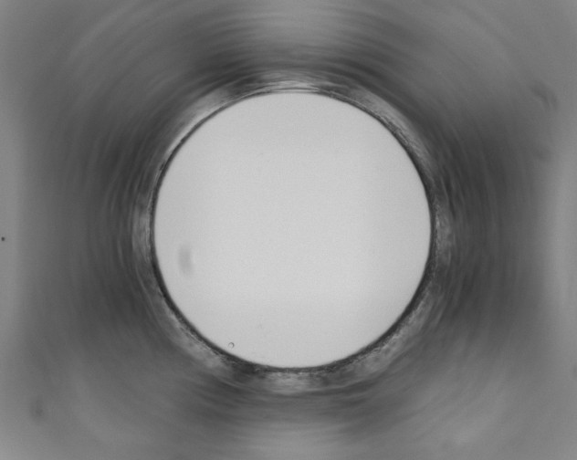 X0000110321194200907021155