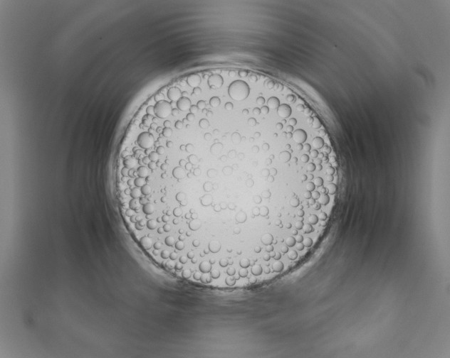 X0000110321196200907021155