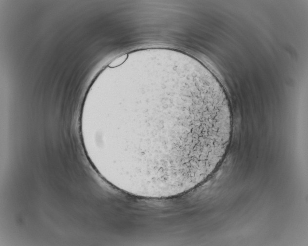 X0000110321197200907021155