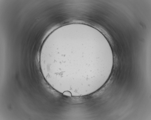 X0000110321198200907021155