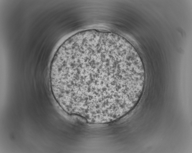 X0000110321200200907021155