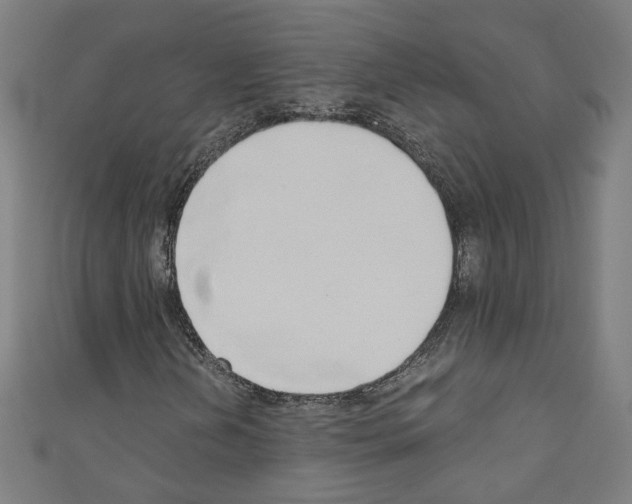 X0000110321202200907021154