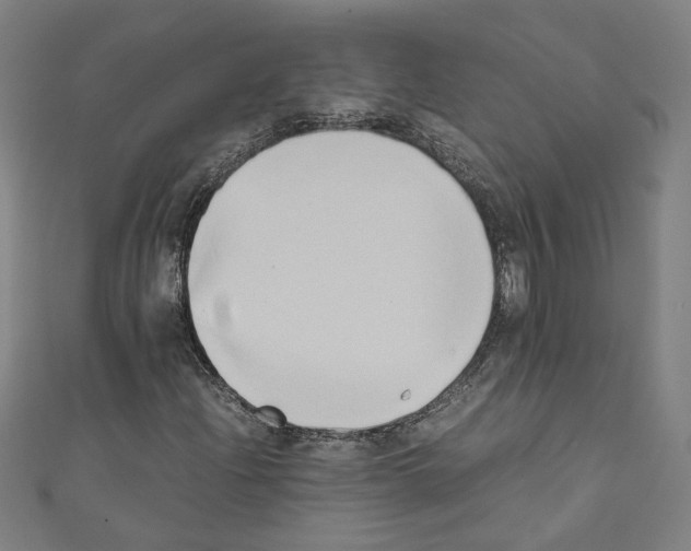 X0000110321204200907021154