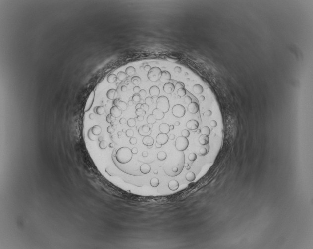 X0000110321205200907021154