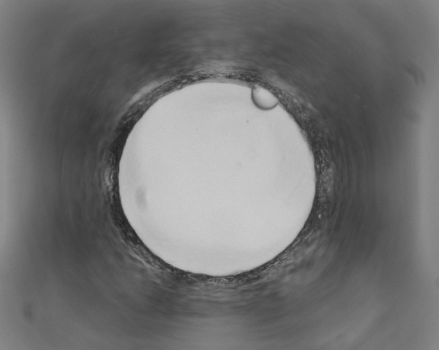 X0000110321206200907021154