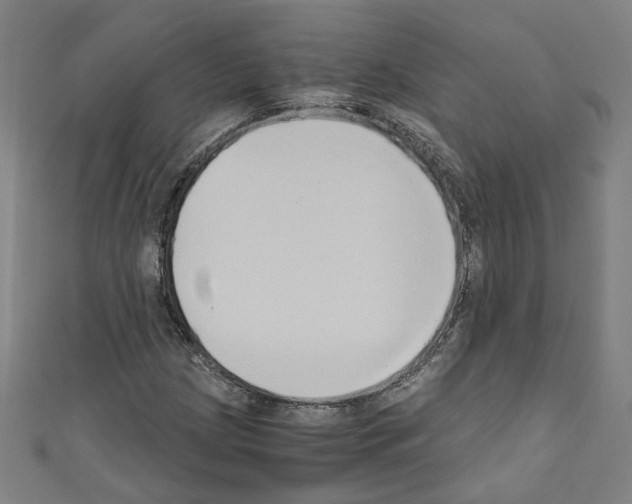 X0000110321209200907021154