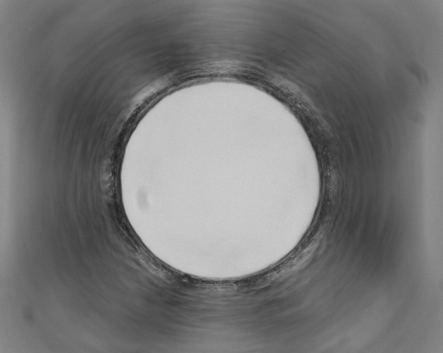 X0000110321210200907021154