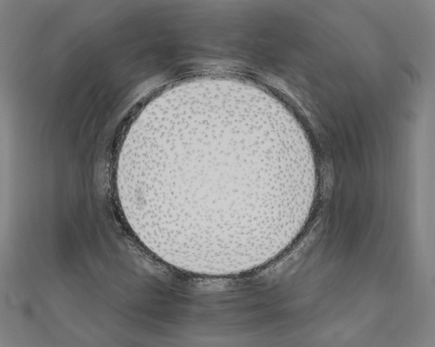 X0000110321211200907021154