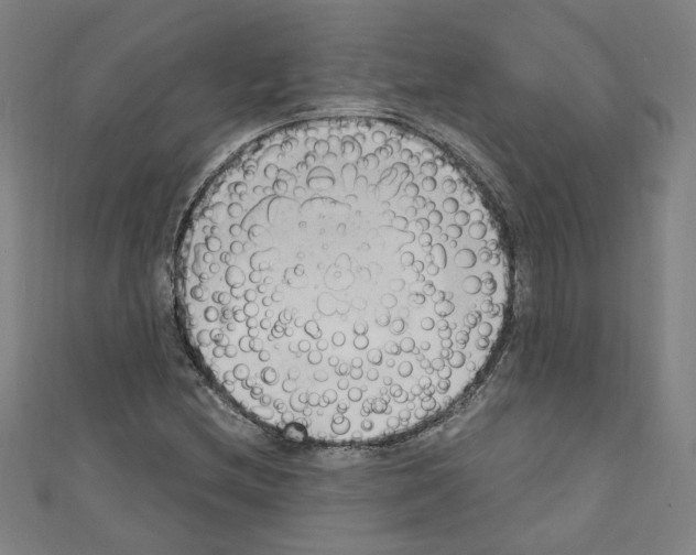 X0000110321212200907021154