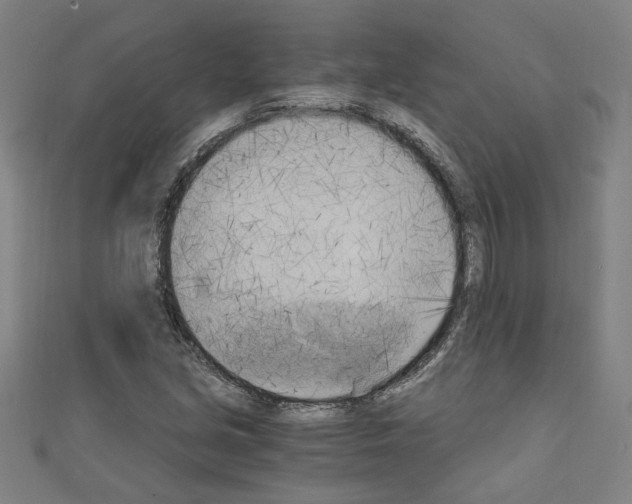 X0000110321213200907021154