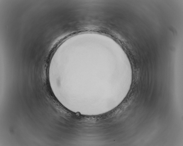 X0000110321214200907021154