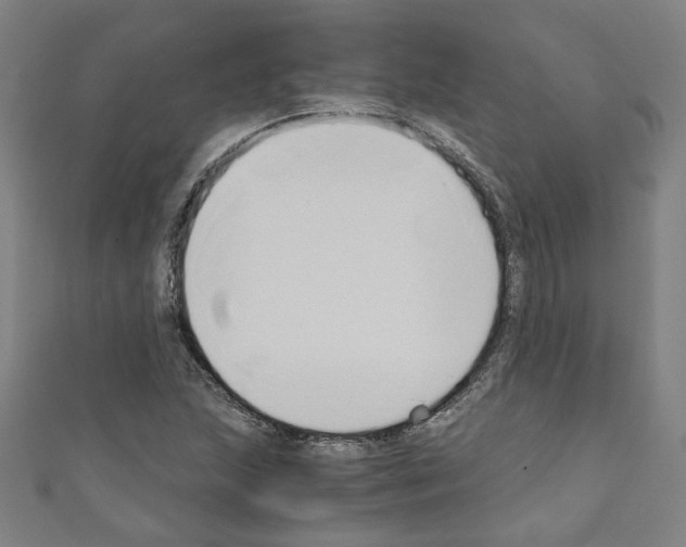 X0000110321215200907021154