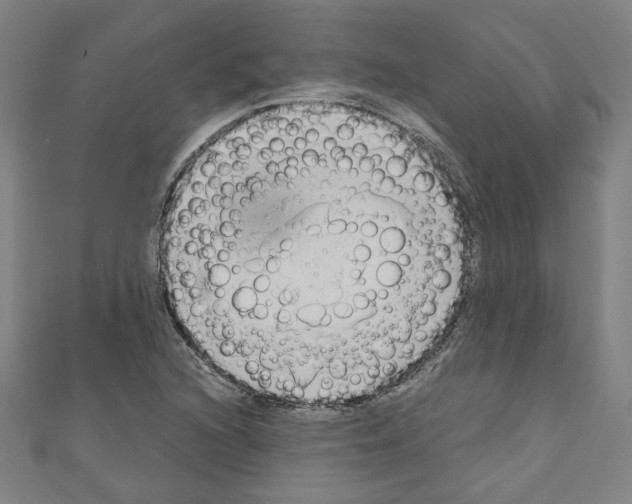 X0000110321216200907021154