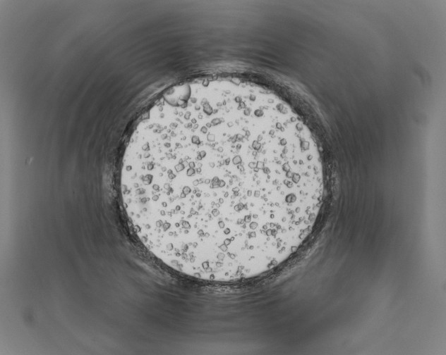 X0000110321217200907021154