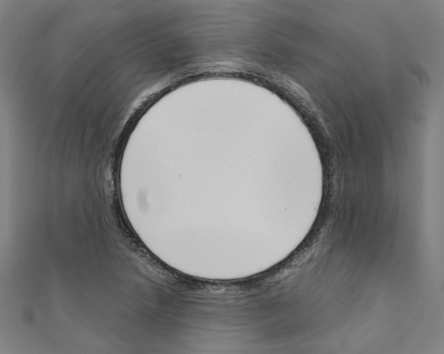 X0000110321218200907021154