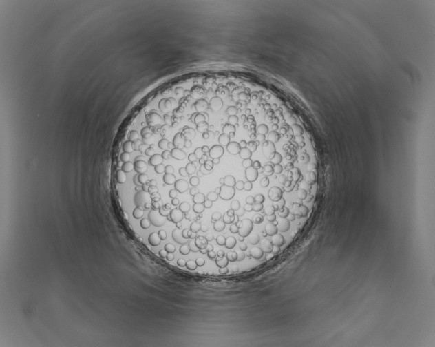 X0000110321220200907021154