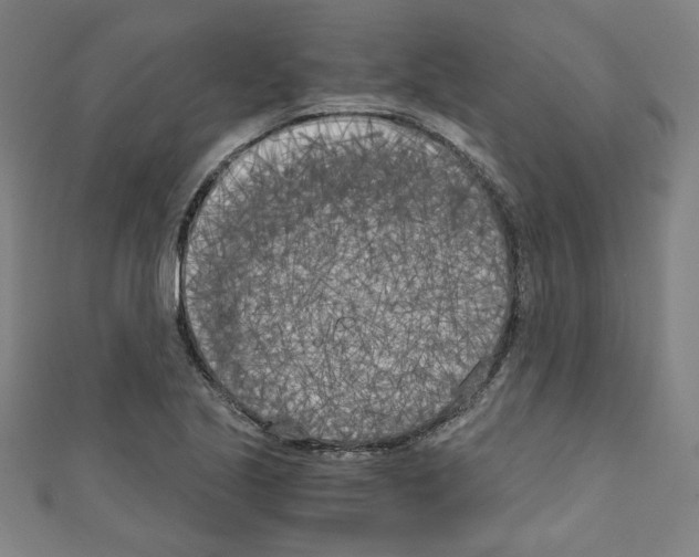 X0000110321221200907021154