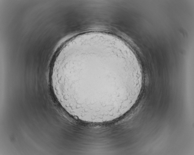 X0000110321222200907021154