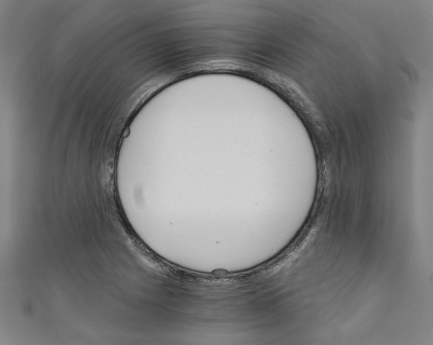 X0000110321225200907021154