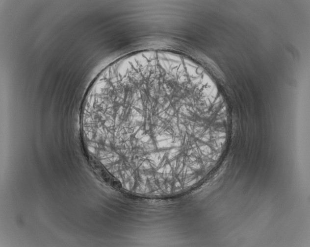 X0000110321226200907021154