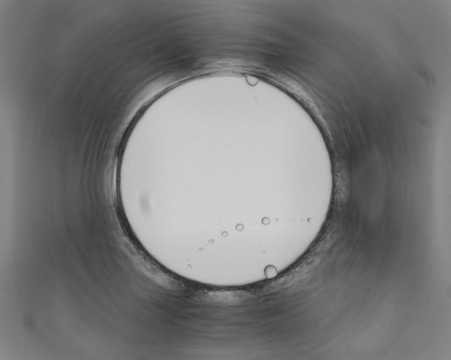 X0000110321227200907021154