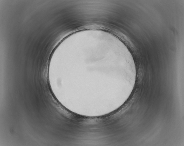 X0000110321228200907021154