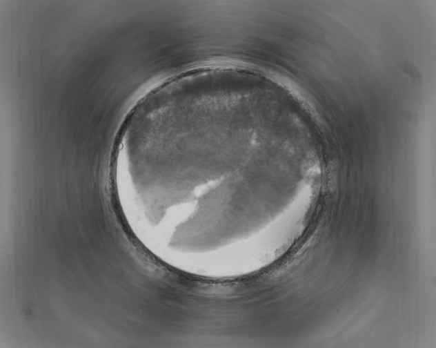 X0000110321229200907021154