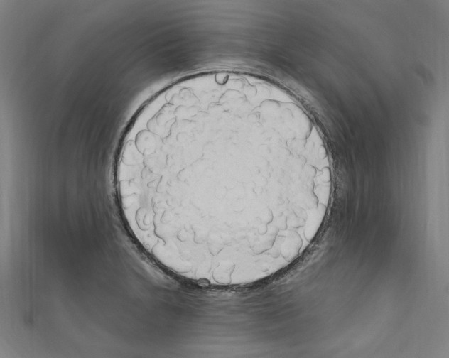 X0000110321230200907021154