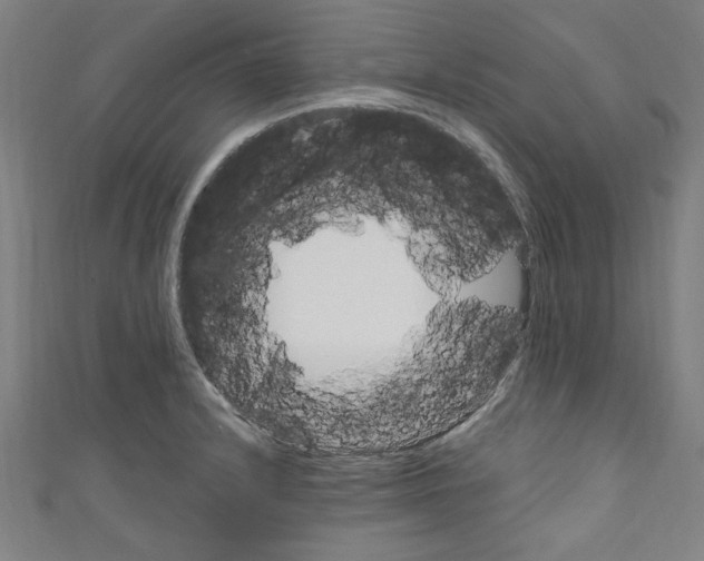 X0000110321232200907021154