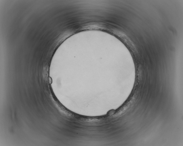 X0000110321233200907021154