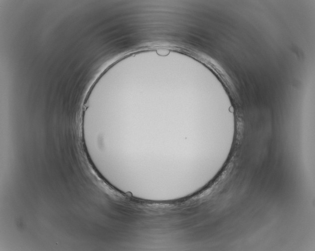 X0000110321236200907021155