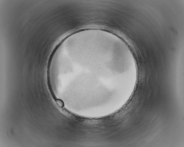 X0000110321237200907021155