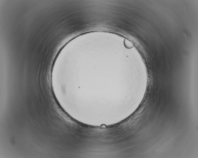 X0000110321238200907021155