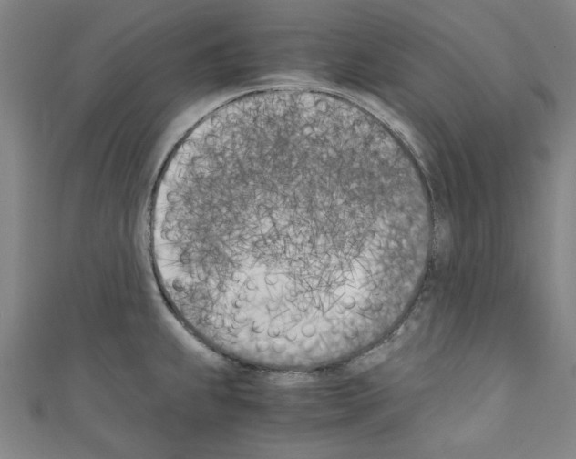 X0000110321239200907021155