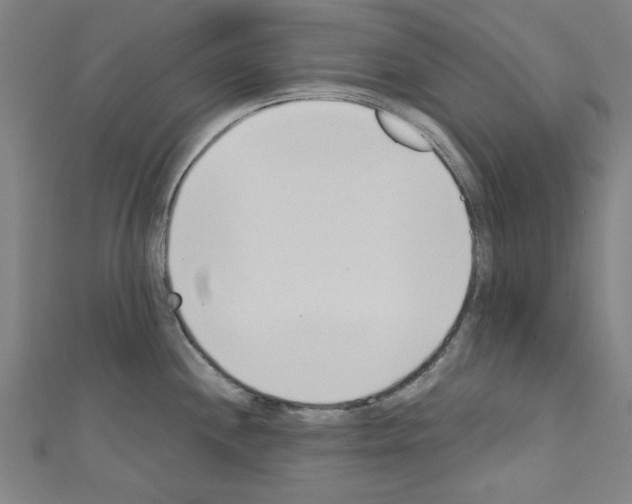 X0000110321244200907021155