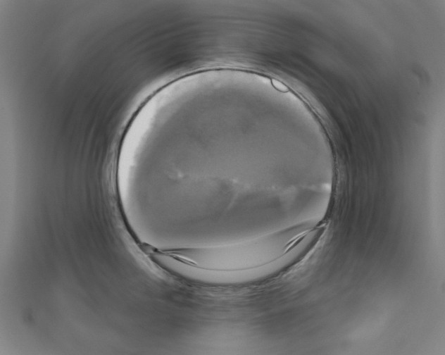 X0000110321246200907021155