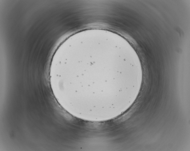 X0000110321248200907021155