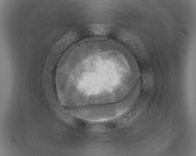 X0000110321249200907021154