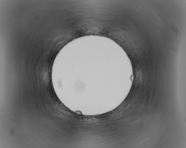 X0000110321250200907021154