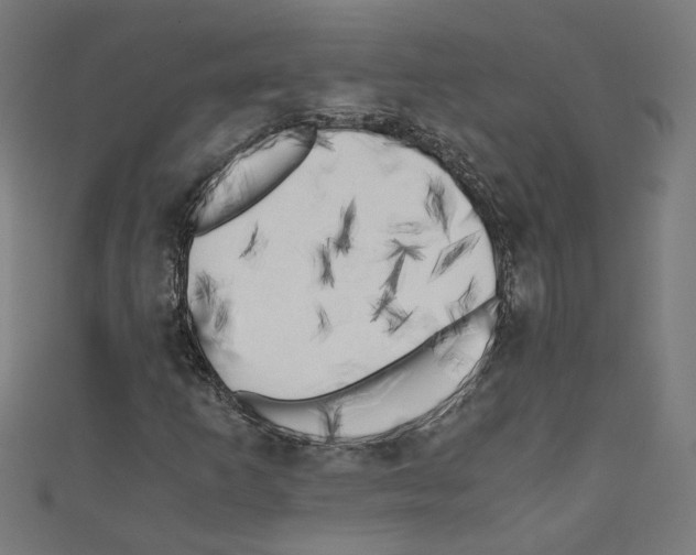 X0000110321253200907021154