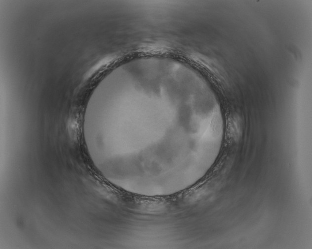 X0000110321254200907021154