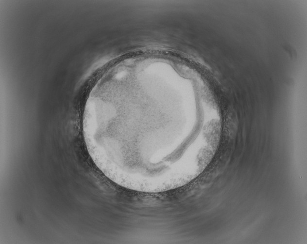 X0000110321255200907021154