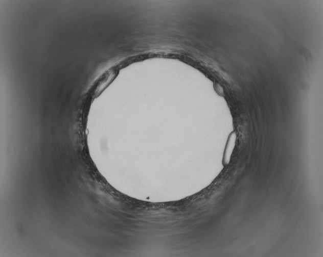 X0000110321256200907021154