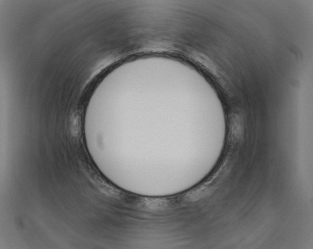 X0000110321258200907021154