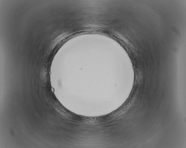 X0000110321259200907021154