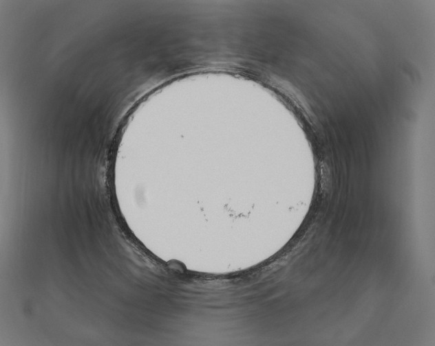 X0000110321260200907021154