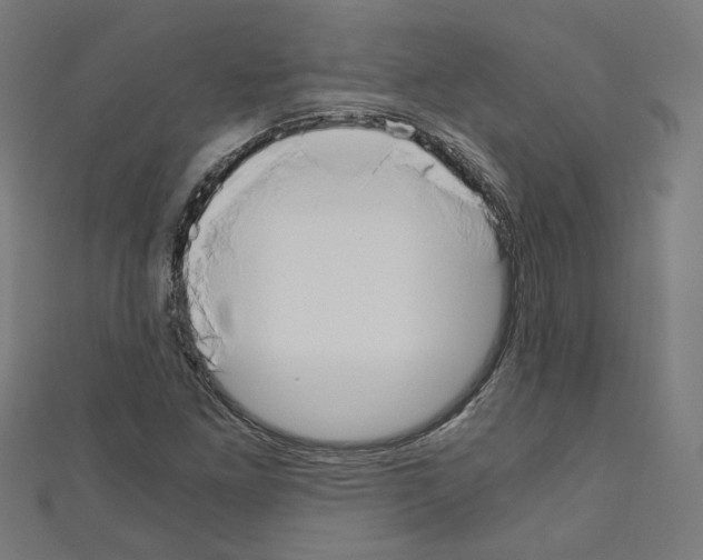 X0000110321261200907021154