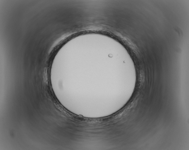 X0000110321262200907021154